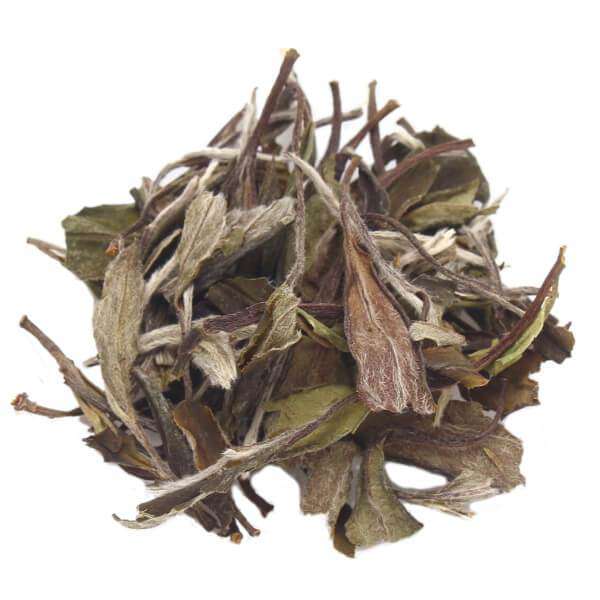white peony baimudan white tea