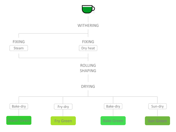How green teas are made