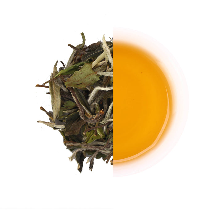 White Tea: A Delicate and Refreshing Beverage
