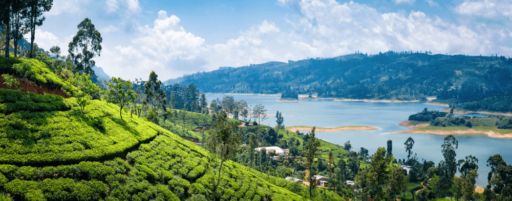 Sri Lanka, the Ultimate Tea Travel Destination 